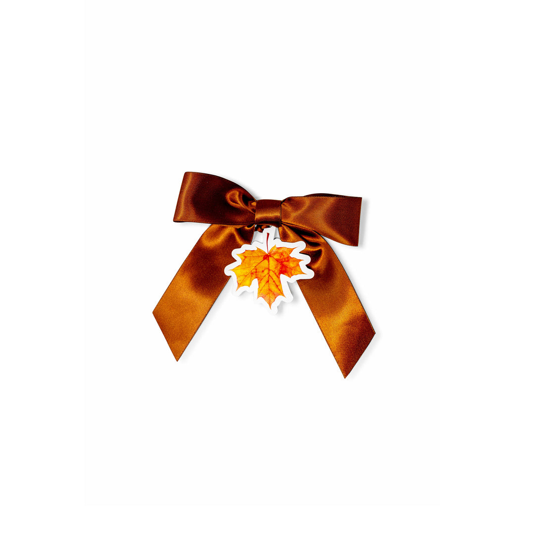 Bottle Bow + Gift Tag™ - Fall Leaf